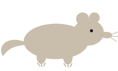rat
